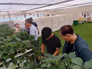 농식품부, 스마트농업 전문 교육기관에 순천대·연암대 지정